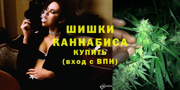 jwh Ельня