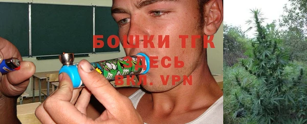 jwh Ельня